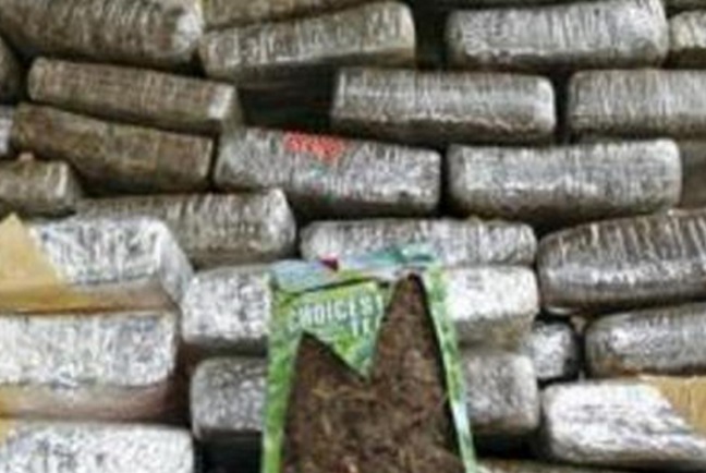 Decomisa ejercito 2.6 toneladas de mariguana en Hermosillo