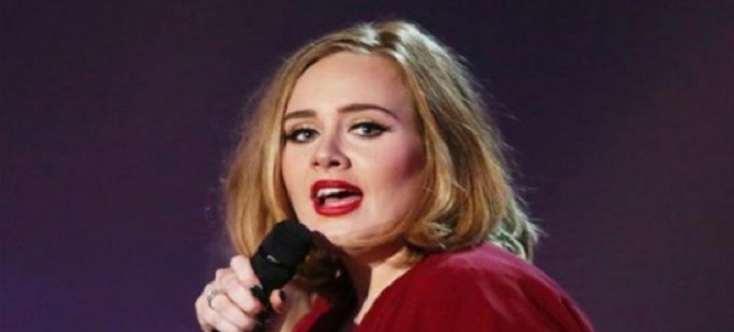 Adele da una buena regañada a guardia de seguridad en concierto