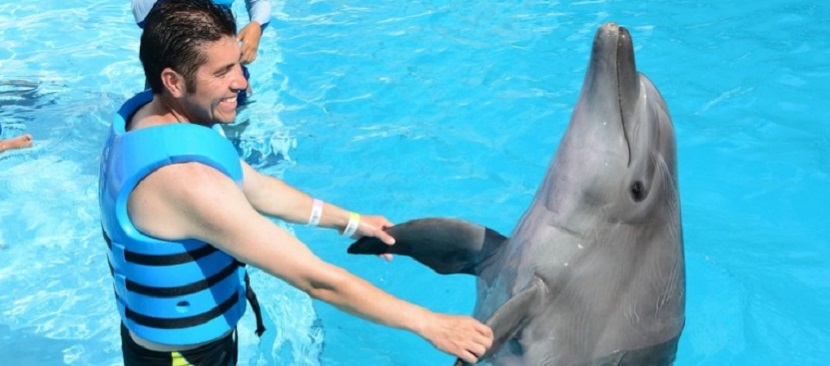 Se prohíbe el uso de delfines en espectáculos y terapias