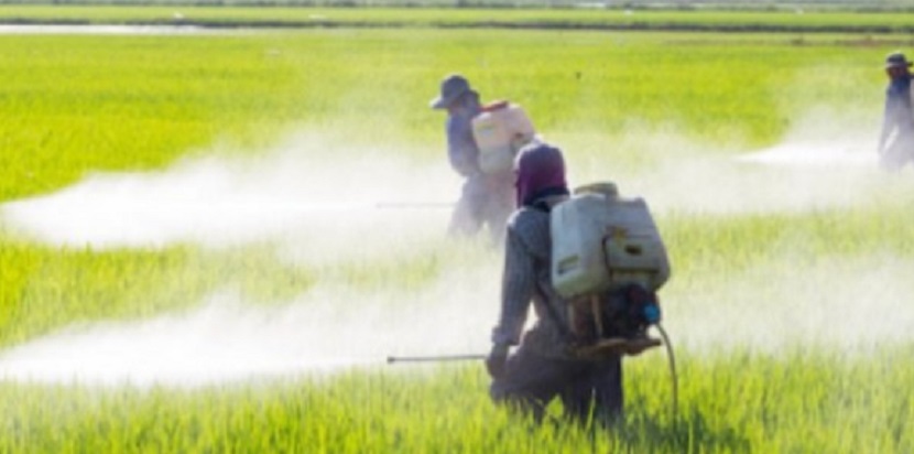 Se intoxican dos con herbicidas y evacuan Urgencias del IMSS