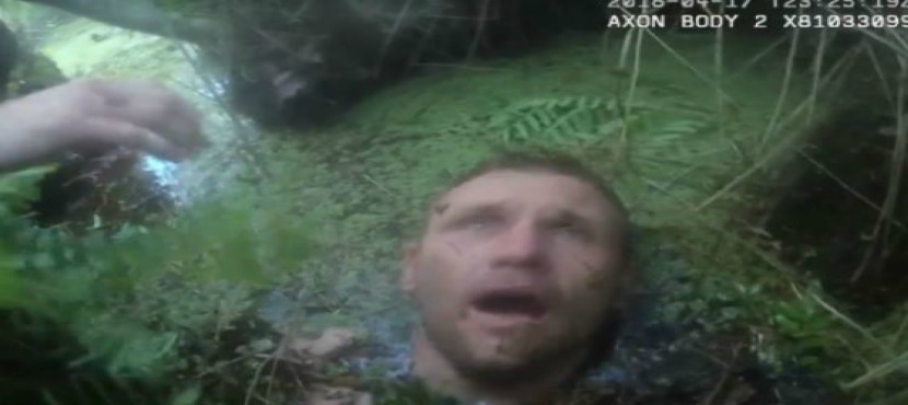 Huye de la policía y queda atrapado en un pantano (VIDEO)