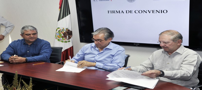 Busca Gobierno de Sonora fortalecer la industria del bacanora