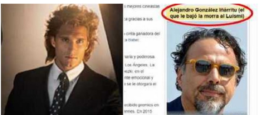 Cambian bio de Iñarritu en Wikipedia luego del último capítulo de la serie de Luis Miguel