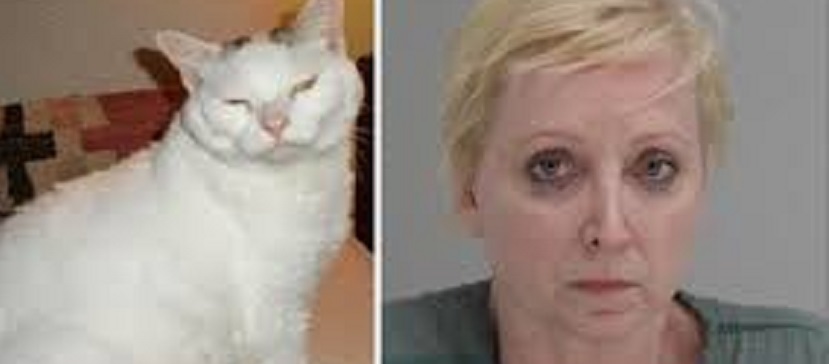Mujer mata a su esposo por maltratar a su gato