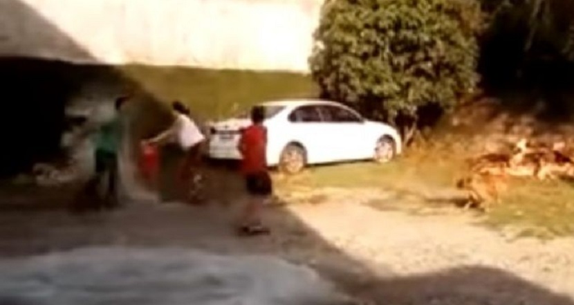 VIDEO IMPACTANTE Mujer rocía a su esposo con gasolina y le prende fuego