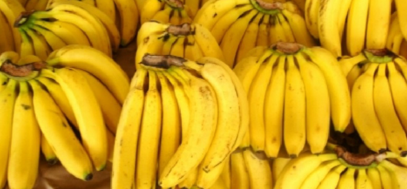 Plátano y sorgo Mexicano llegará a mercado chino próxima semana