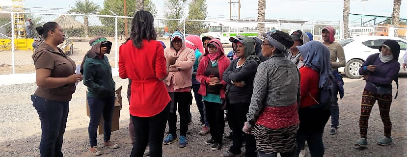 Busca ISM empoderamiento de mujeres jornaleras agrícolas de Caborca