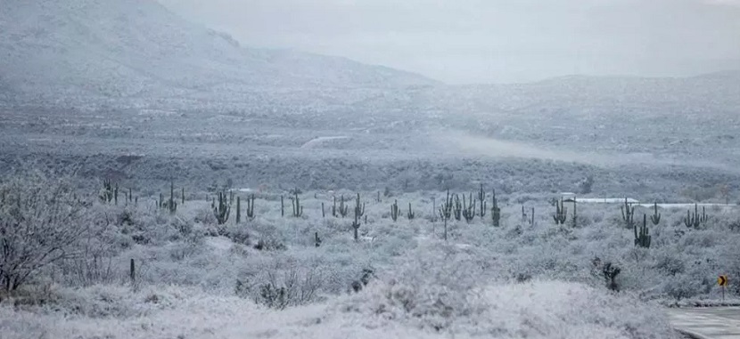Por nevadas y heladas severas se emite Declaratoria de Emergencia para 38 municipios de Sonora