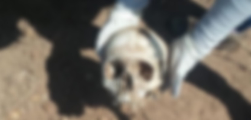 Localizan Guerreras Buscadoras cráneo humano en el Valle del Yaqui