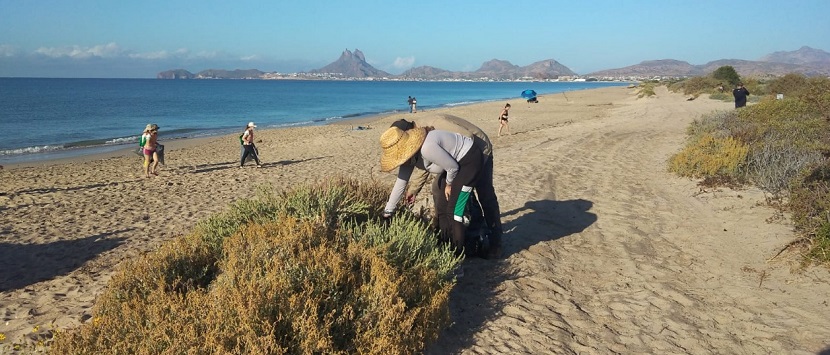 Colabora Cedes en limpieza de playas