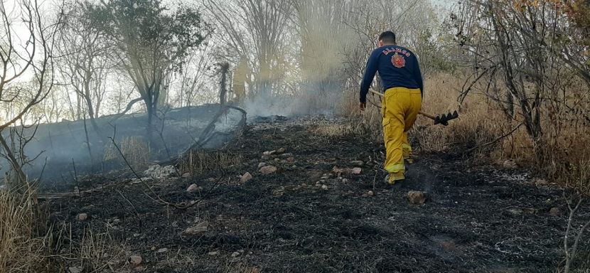 Sofocan incendio forestal en sierra de Álamos; siguen trabajos en sierra alta de Aconchi