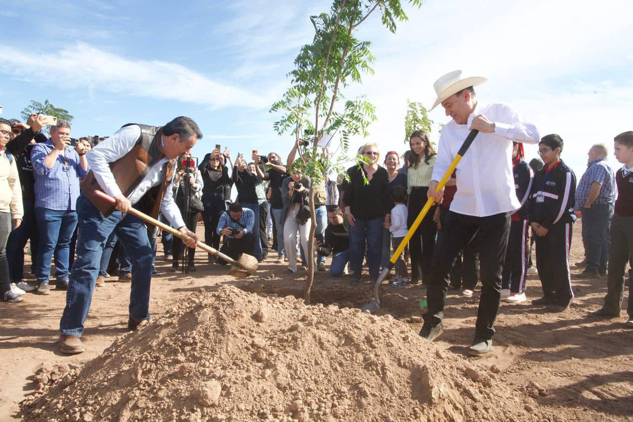 Parque Gratitud: Un espacio verde que toma forma en Cajeme