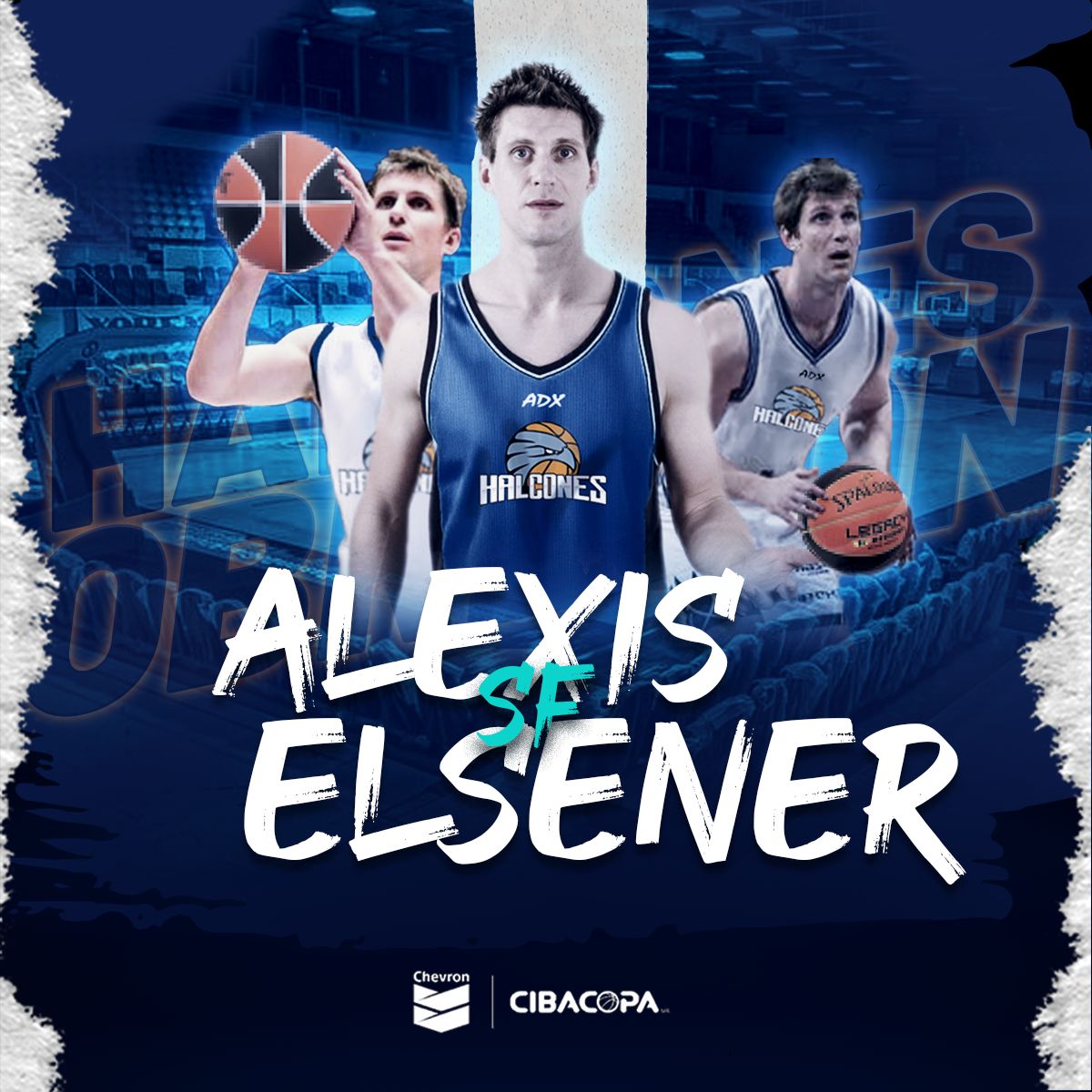 Alexis Elsener refuerza a los Halcones