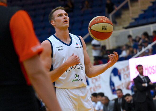 Halcones vuelan alto en casa