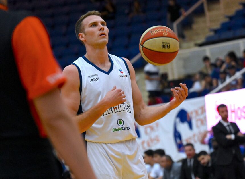 Halcones vuelan alto en casa