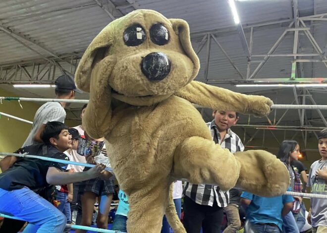 Perro Wisin encabeza cartel estelar en Ciudad Obregón