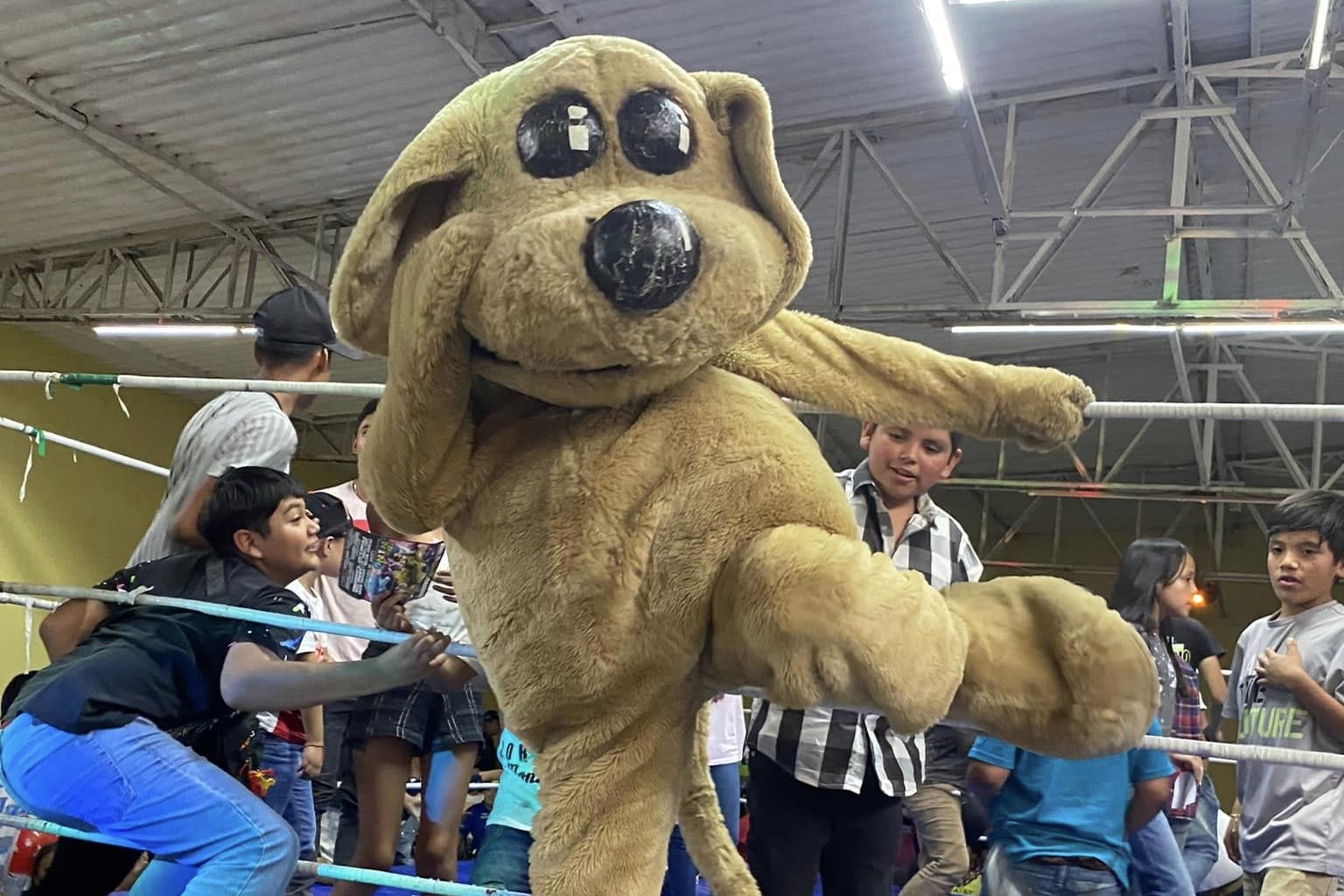 Perro Wisin encabeza cartel estelar en Ciudad Obregón