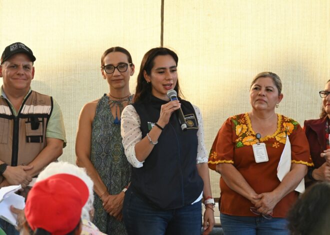 Feria de Paz: ¡Cócorit sí se organiza!