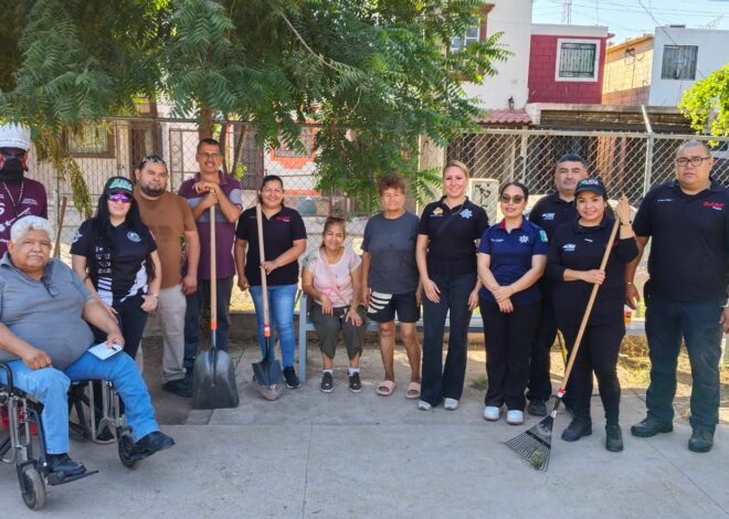 ¿Rescate real o “limpia” para la foto? Parques de San Anselmo y El Campanario dan de qué hablar