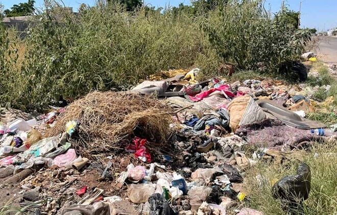 Vecinos denuncian solar convertido en basurero en la colonia Valle Verde