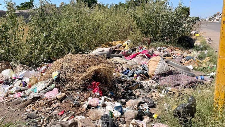 Vecinos denuncian solar convertido en basurero en la colonia Valle Verde