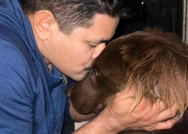 Caso Marshall: Denuncia en redes expone conflicto por custodia de un perro rescatado