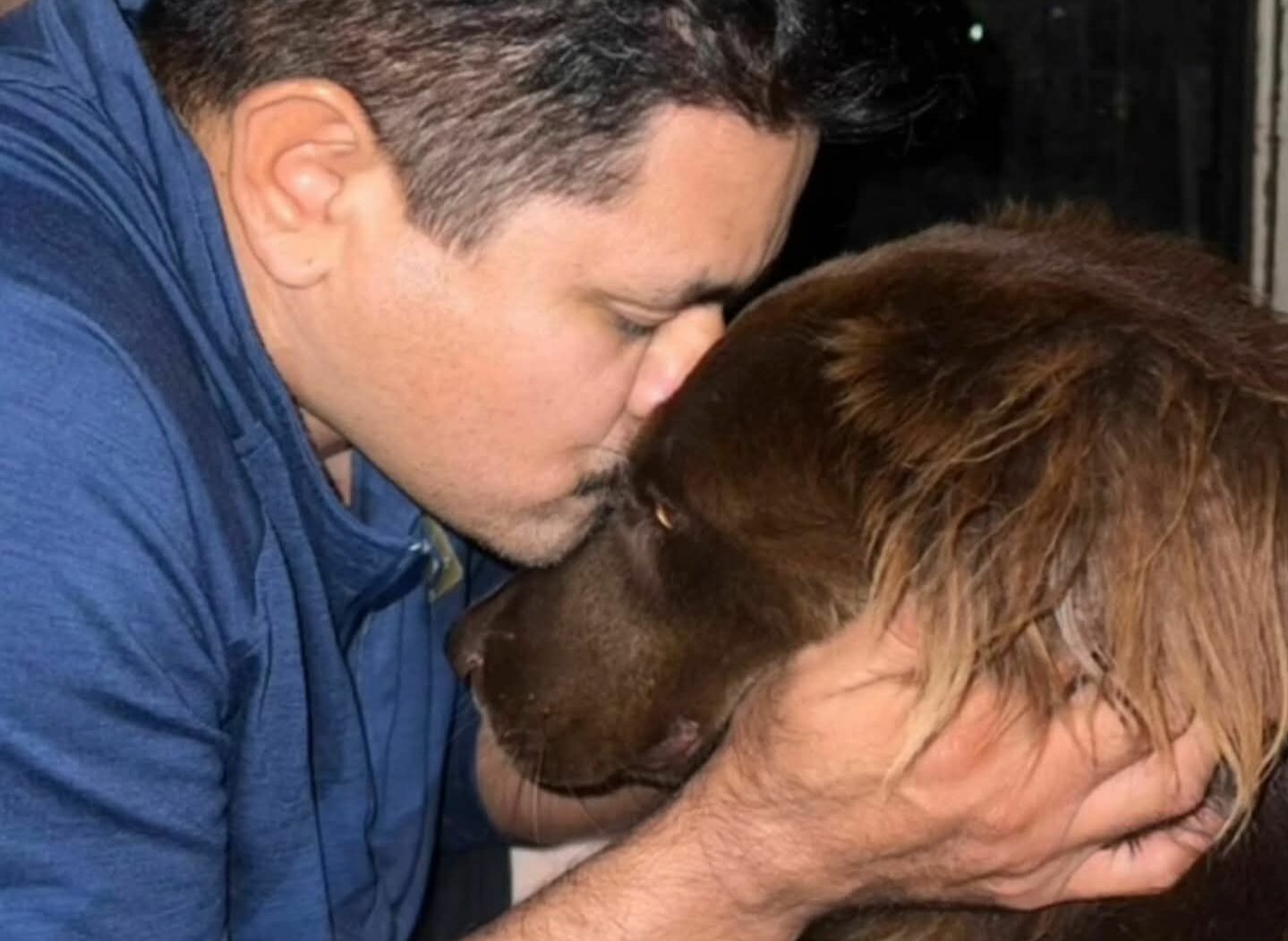 Caso Marshall: Denuncia en redes expone conflicto por custodia de un perro rescatado