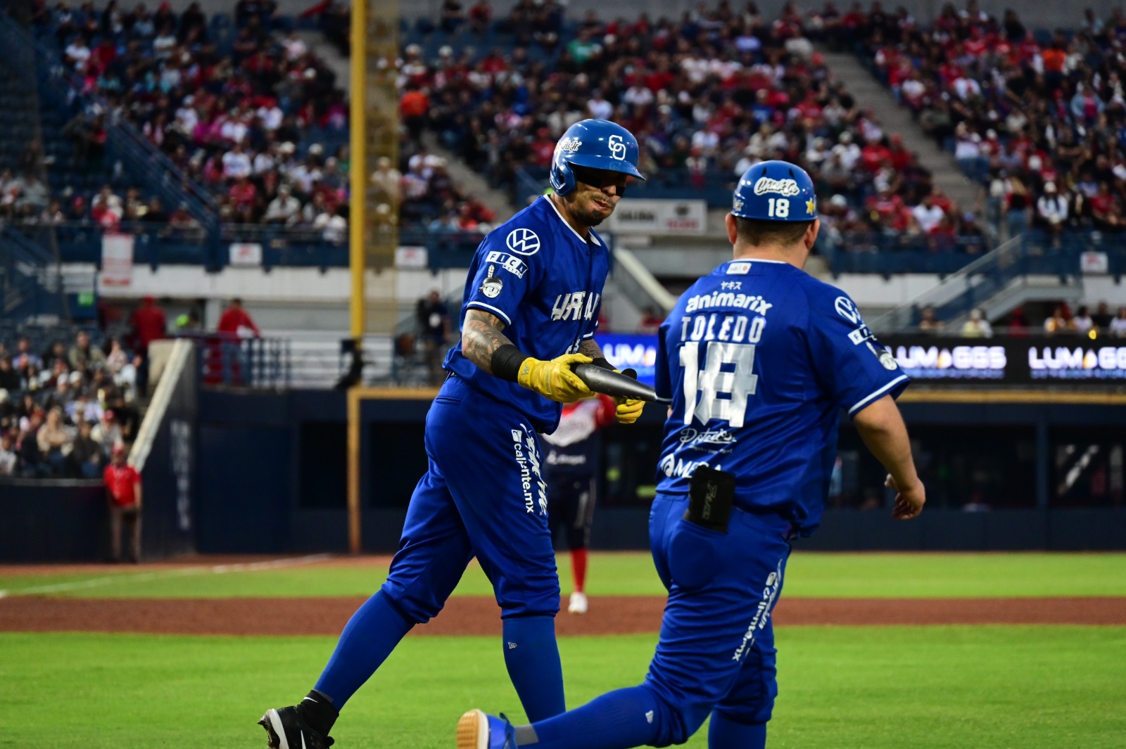 Allen Córdoba habla tras eliminación de Yaquis