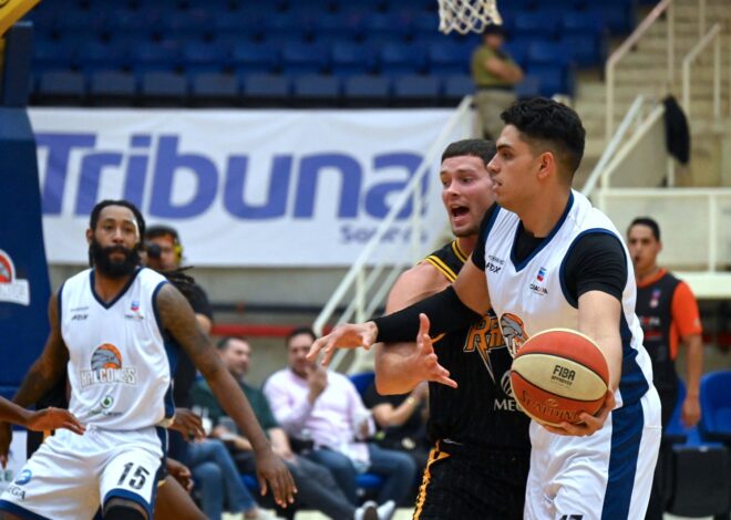 Alex Reyna vuelve a vestir los colores de Halcones en 2026