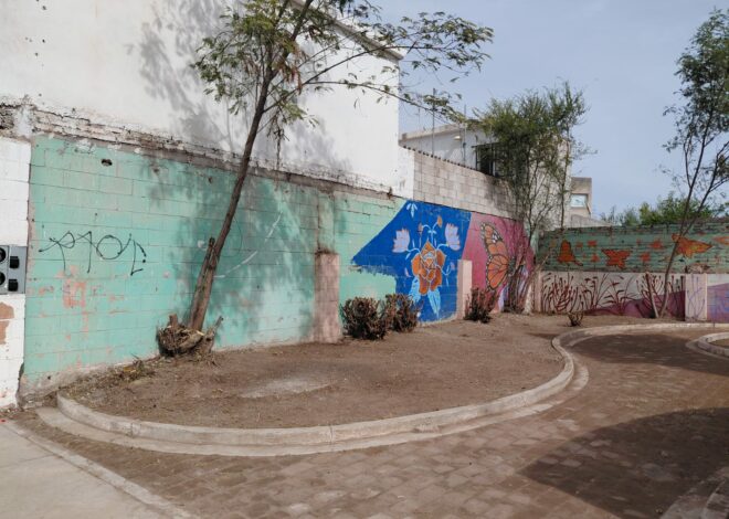 TikToker recibe ayuda y logra rescate de espacio público en El Campanario