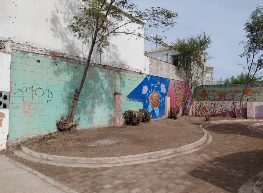 TikToker recibe ayuda y logra rescate de espacio público en El Campanario