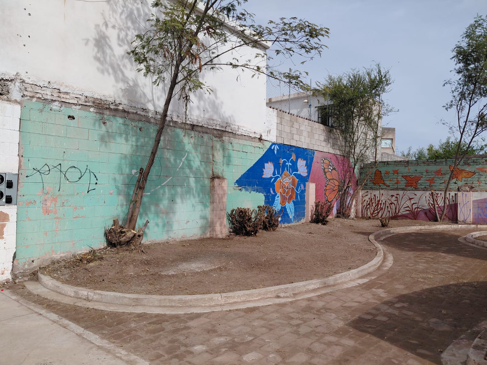 TikToker recibe ayuda y logra rescate de espacio público en El Campanario