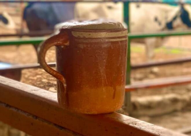 El pajarete, una tradición ranchera que sigue viva en Sonora