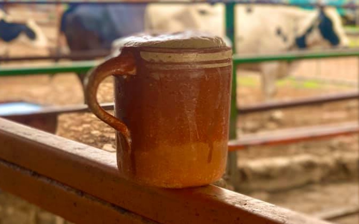 El pajarete, una tradición ranchera que sigue viva en Sonora