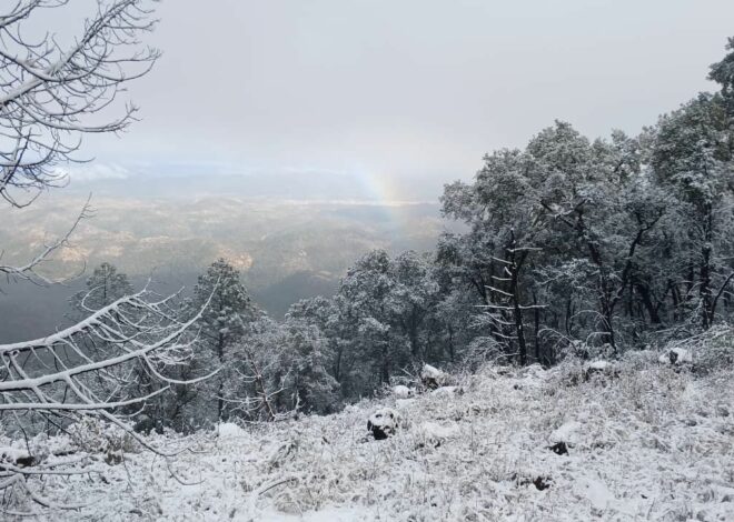 Yécora se pinta de blanco y activan alerta preventiva