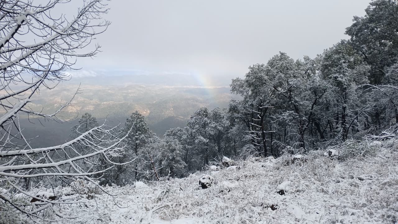 Yécora se pinta de blanco y activan alerta preventiva