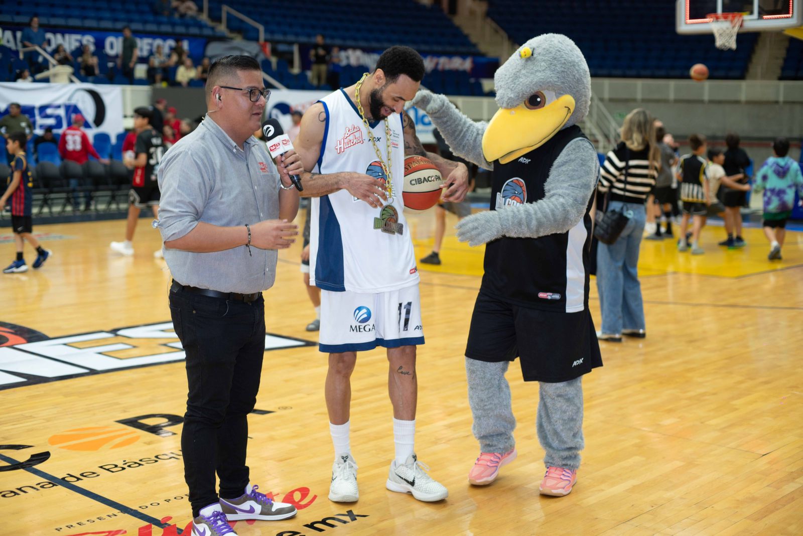 Halcones vuelve a volar alto en casa