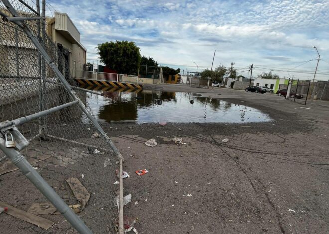 Agua estancada en Miravalle preocupa por riesgo de dengue