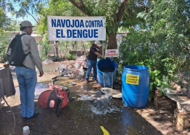 NAVOJOA: Dengue mantiene presencia activa en la región