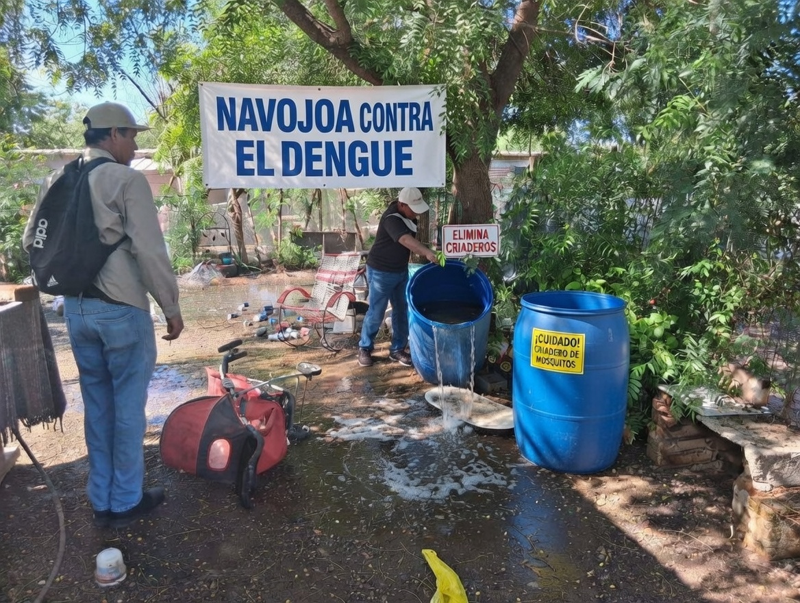 NAVOJOA: Dengue mantiene presencia activa en la región