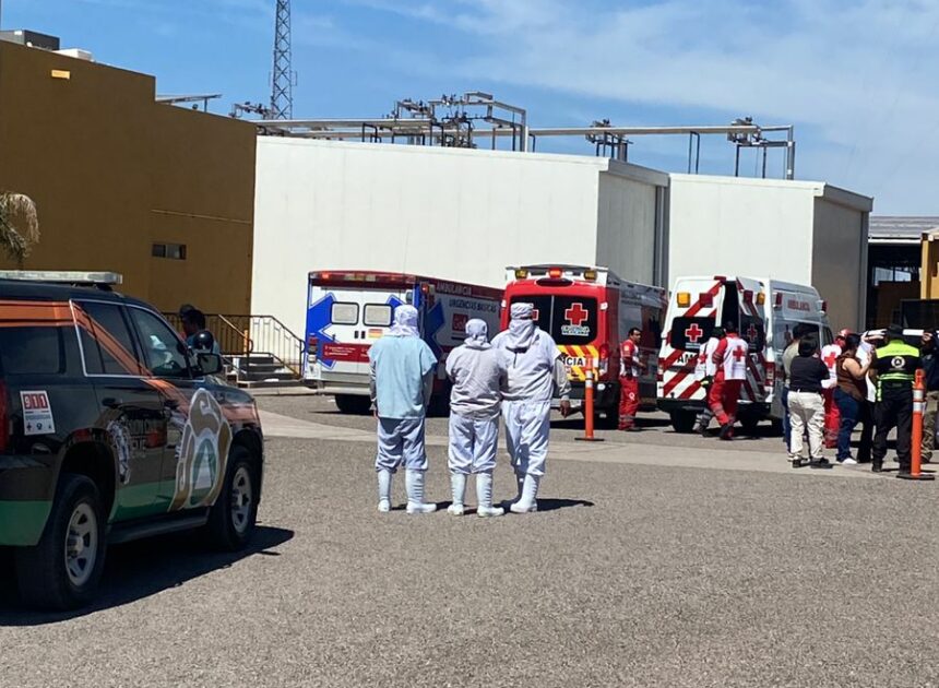 Fuga de amoniaco provoca evacuación en planta Yoreme