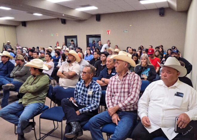 La IA llega ¡a la ganadería de Cajeme!