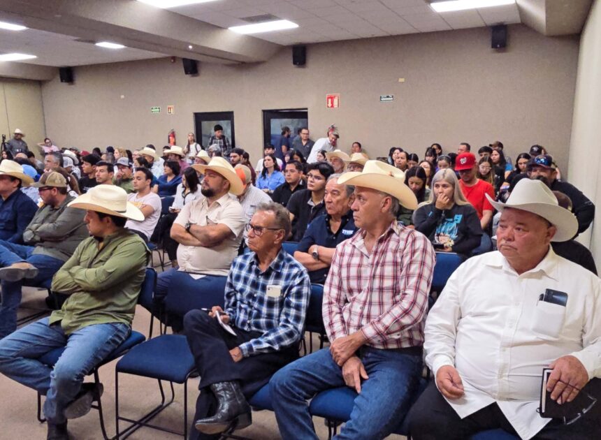 La IA llega ¡a la ganadería de Cajeme!