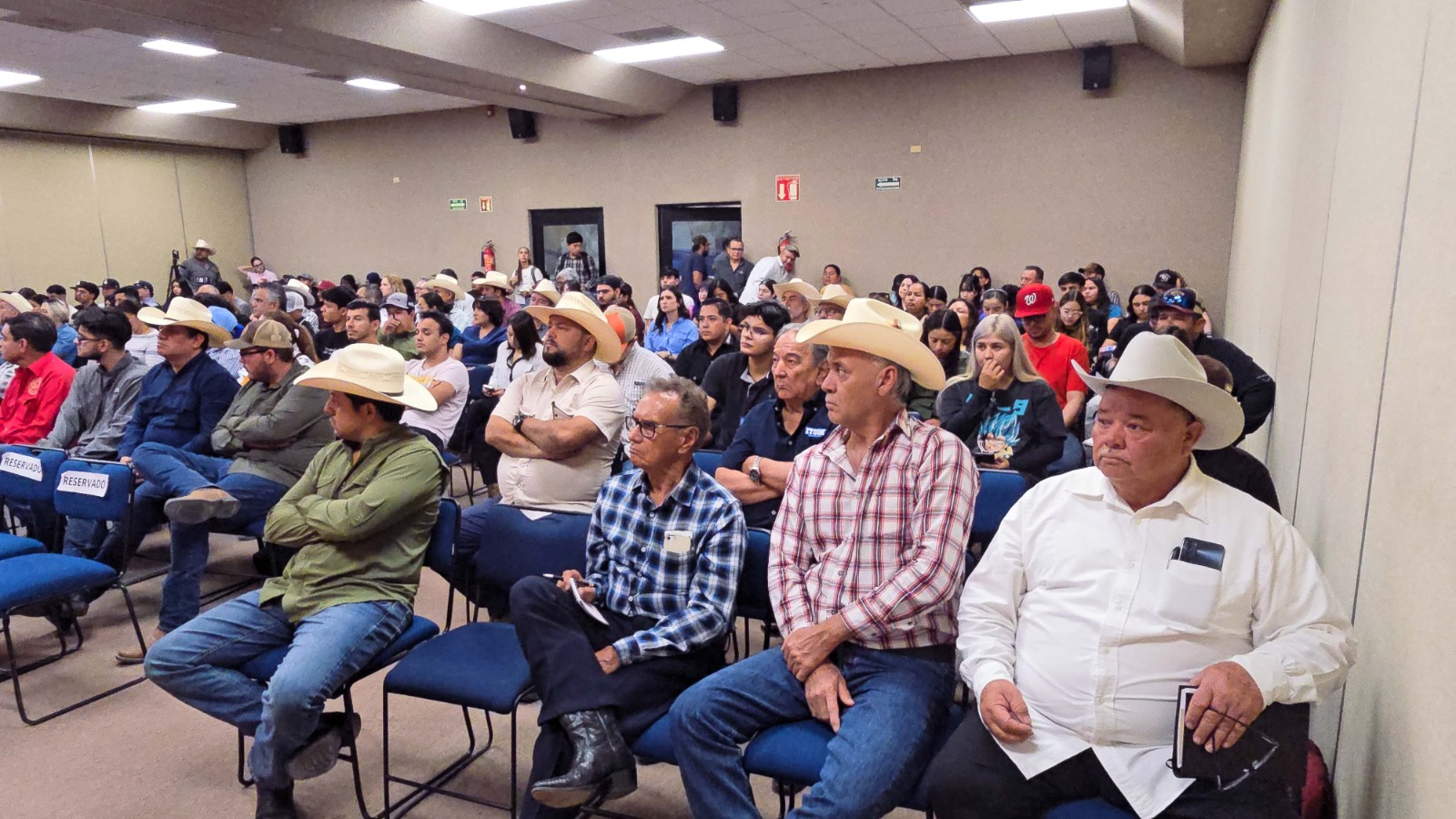 La IA llega ¡a la ganadería de Cajeme!