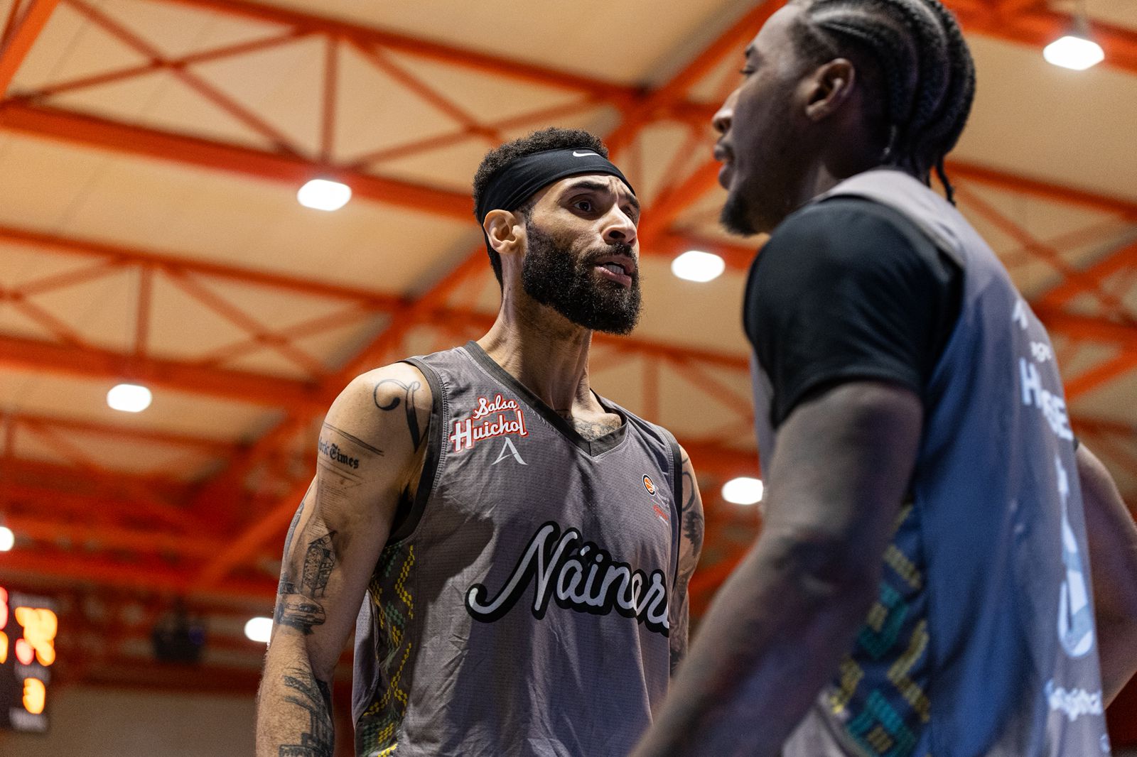 Halcones vuela a la gloria