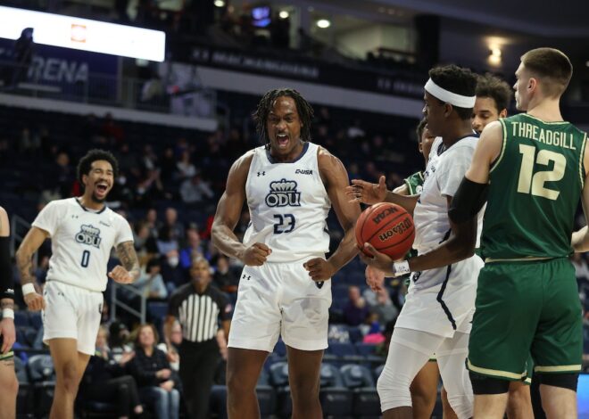 Halcones refuerzan la pintura