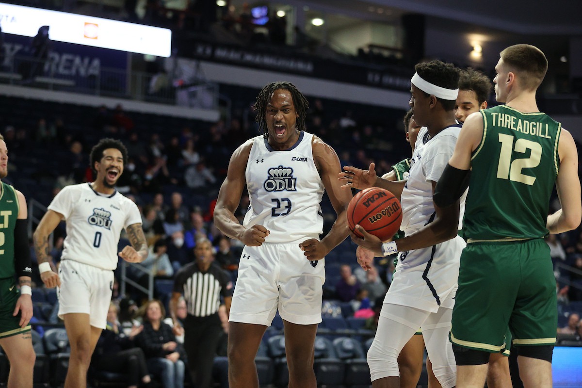 Halcones refuerzan la pintura