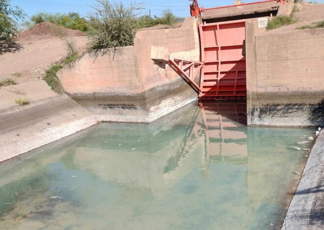 Derrame si impacta fauna en Cajeme