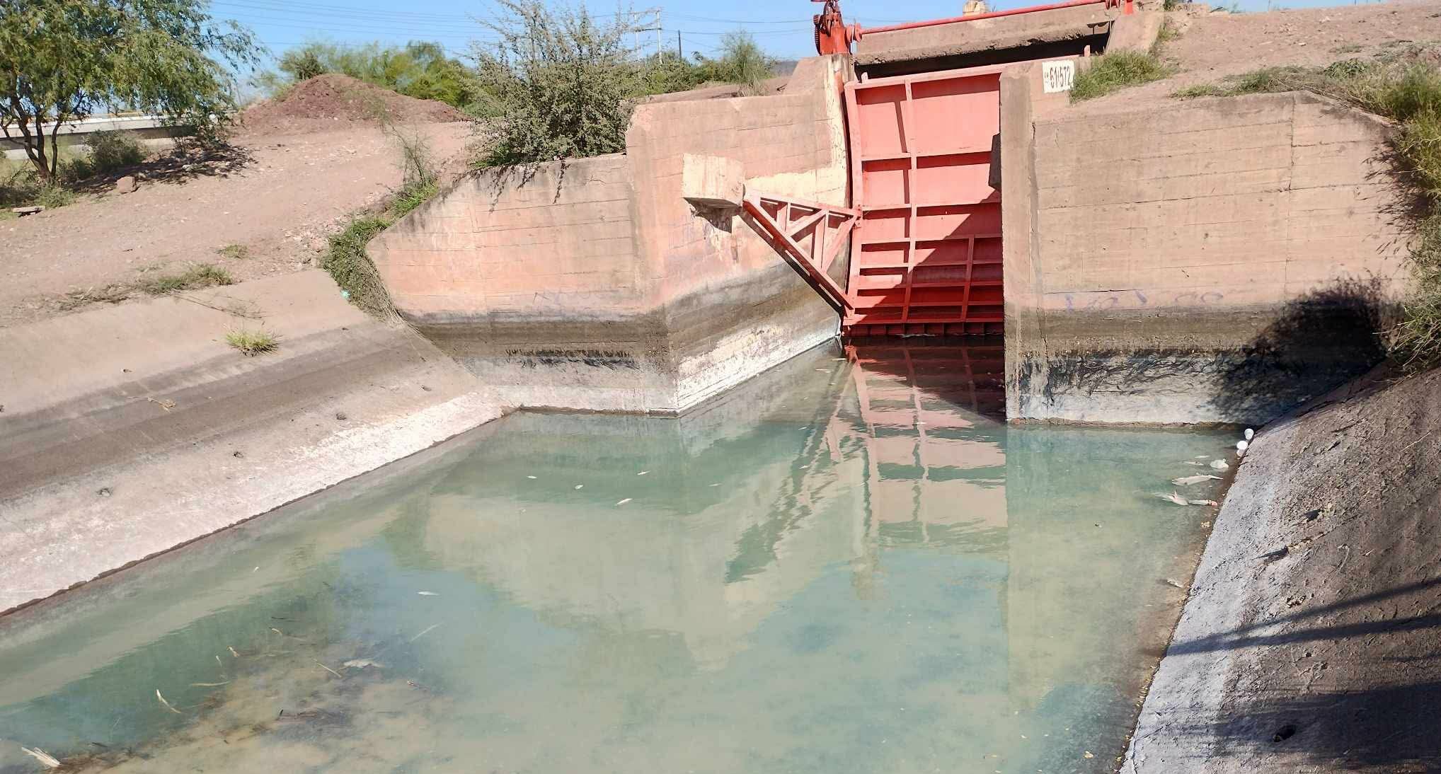 Derrame si impacta fauna en Cajeme