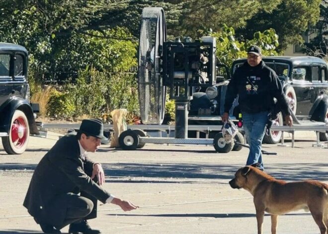 Pedro Pascal graba película QUEER en Sonora